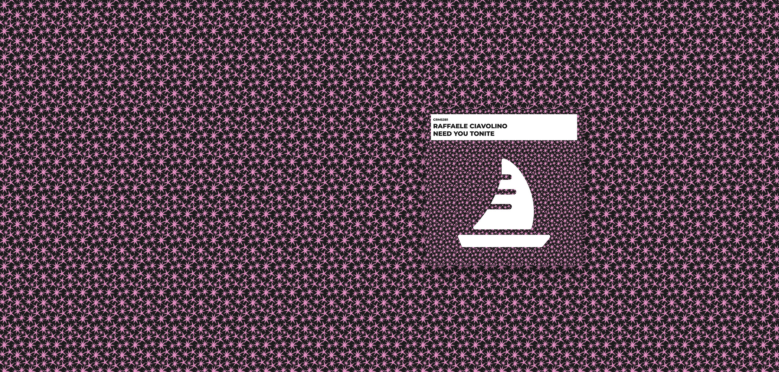crms381 - Raffaele Ciavolino - Need You Tonite