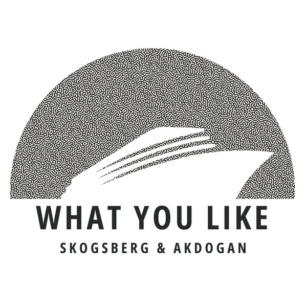 Skogsberg & Akdogan - What You Like